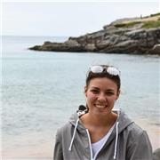 Doy clases económicas de inglés de dibujo. También de Inglés (hasta B2.1)y repaso de Lengua (primaria)